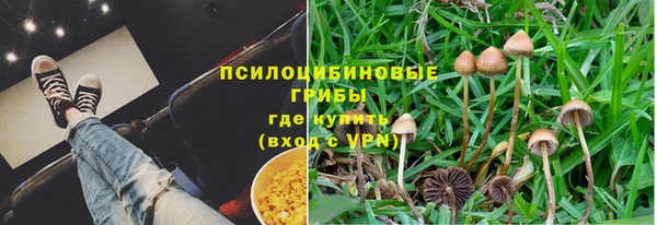 марки lsd Краснослободск